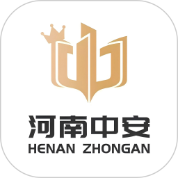 河南中安1对1电脑版
