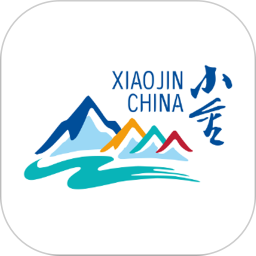 纯净小金电脑版