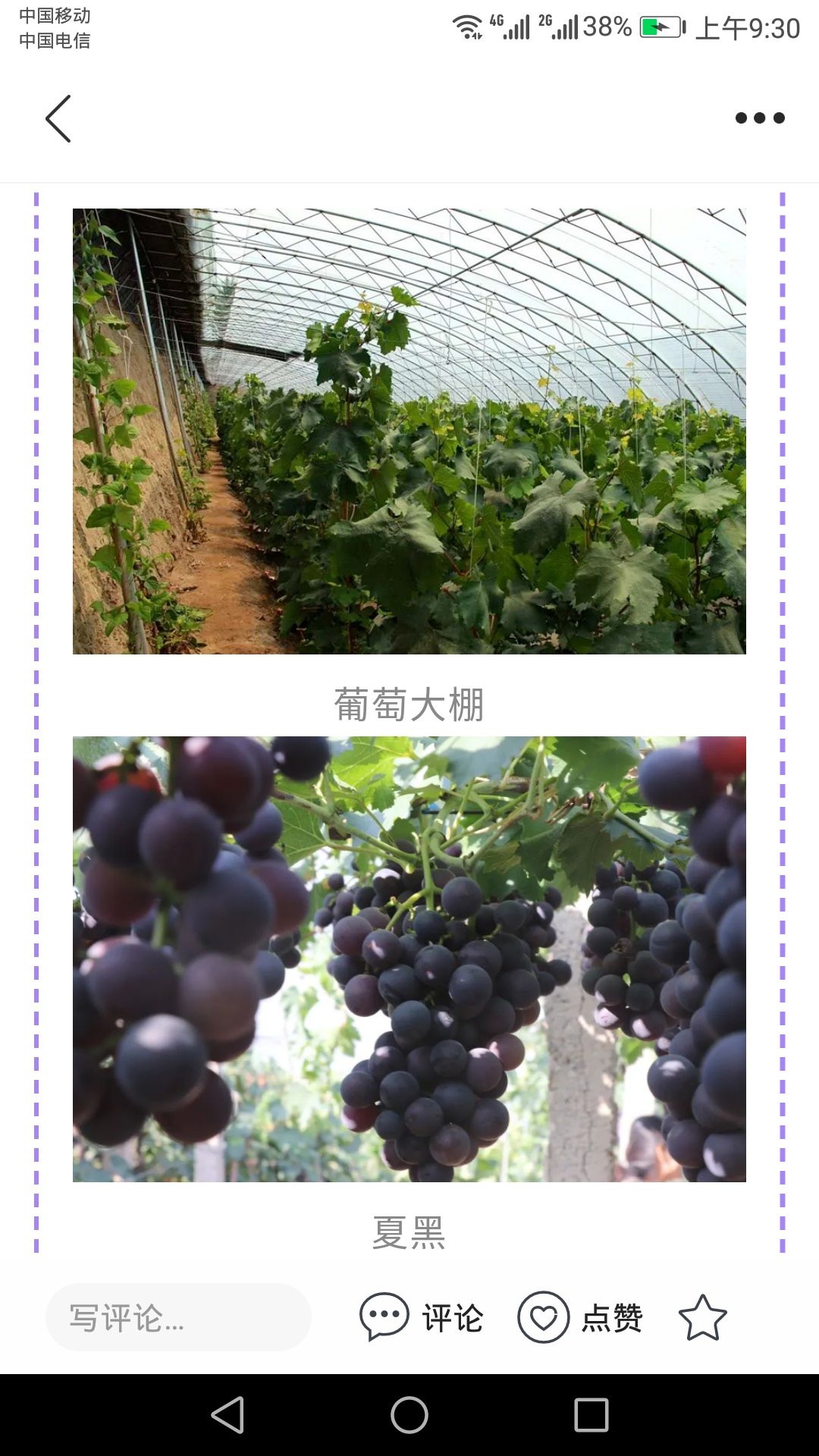 冀云怀来电脑版截图