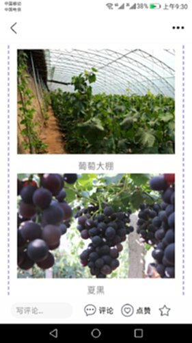 冀云怀来电脑版截图2