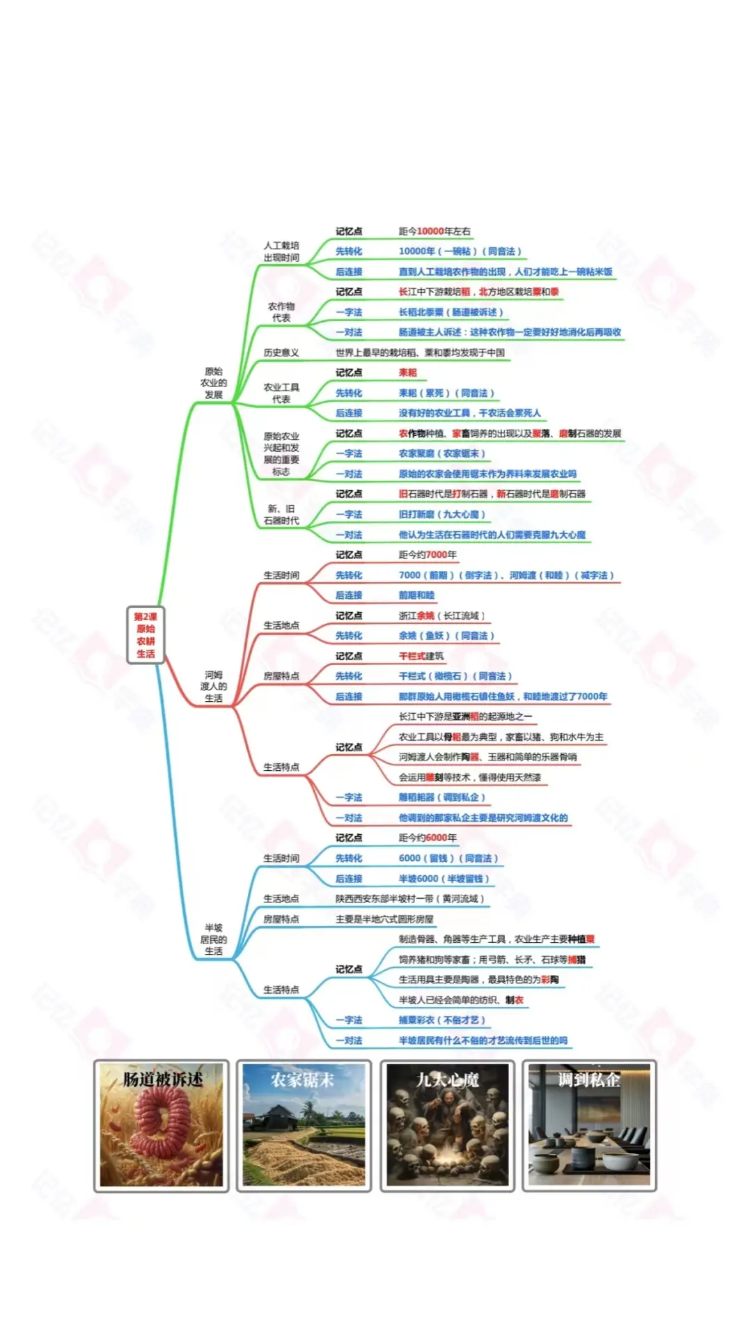 记忆字典电脑版截图