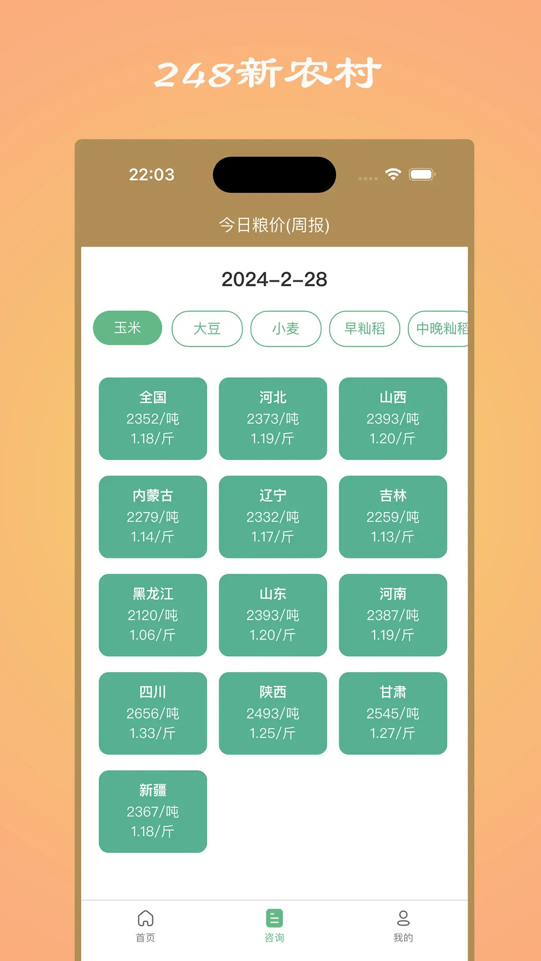 248新农村电脑版截图