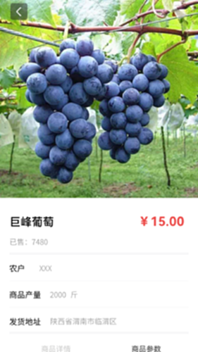 购速达采购电脑版截图1