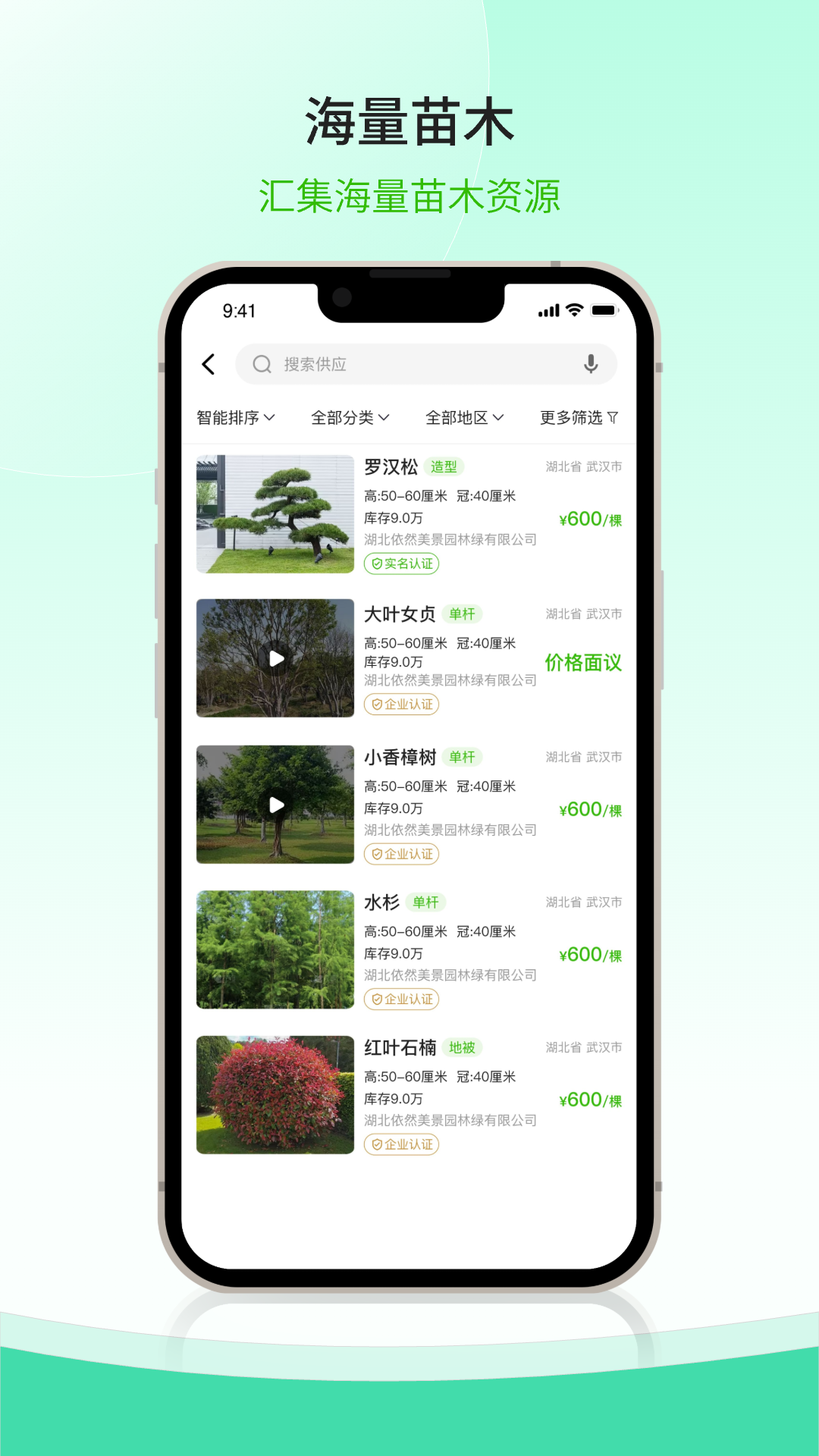 购苗木