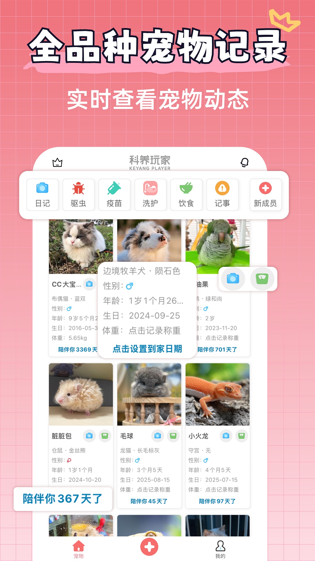 宠物王国电脑版截图