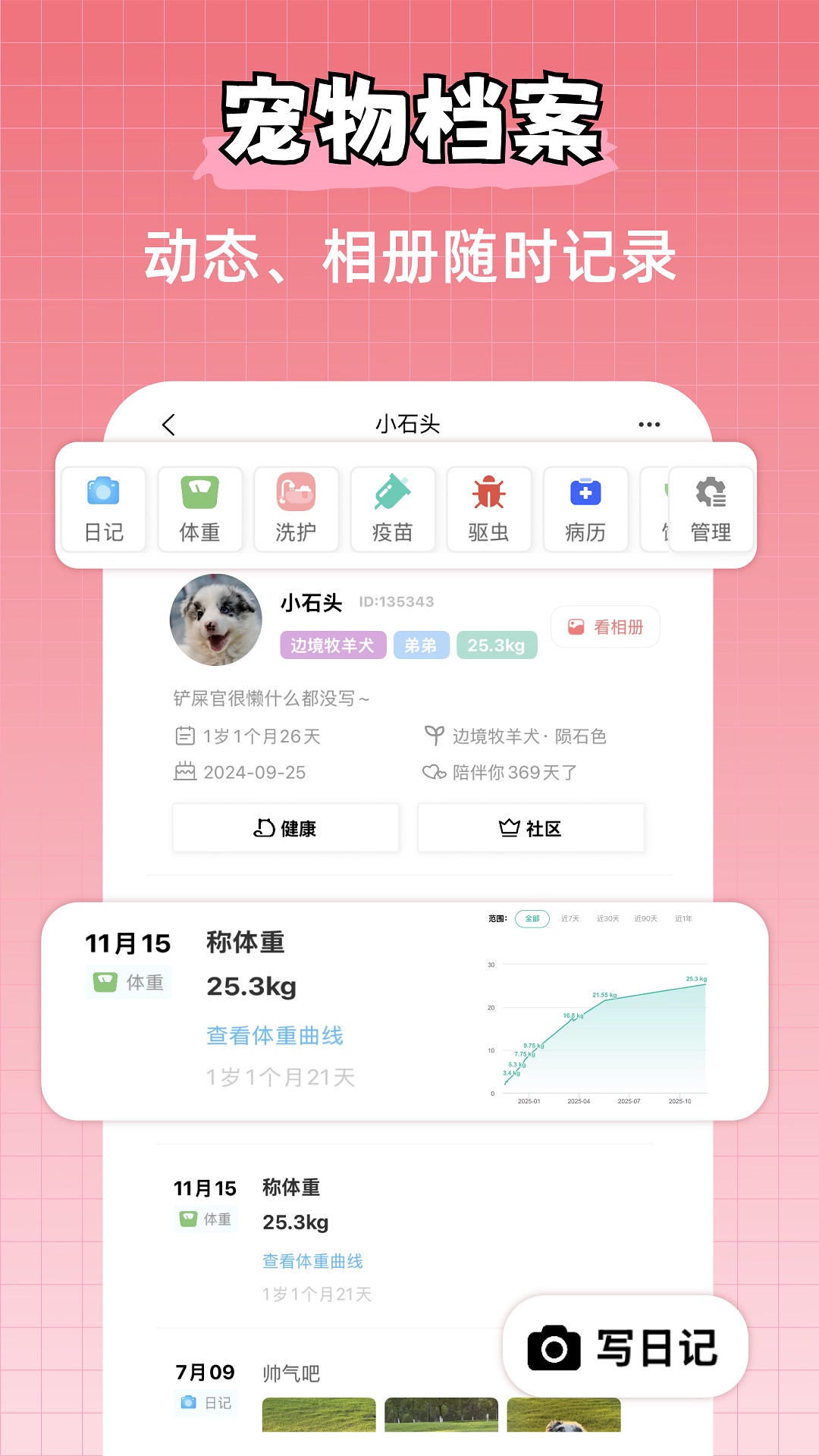 宠物王国电脑版截图
