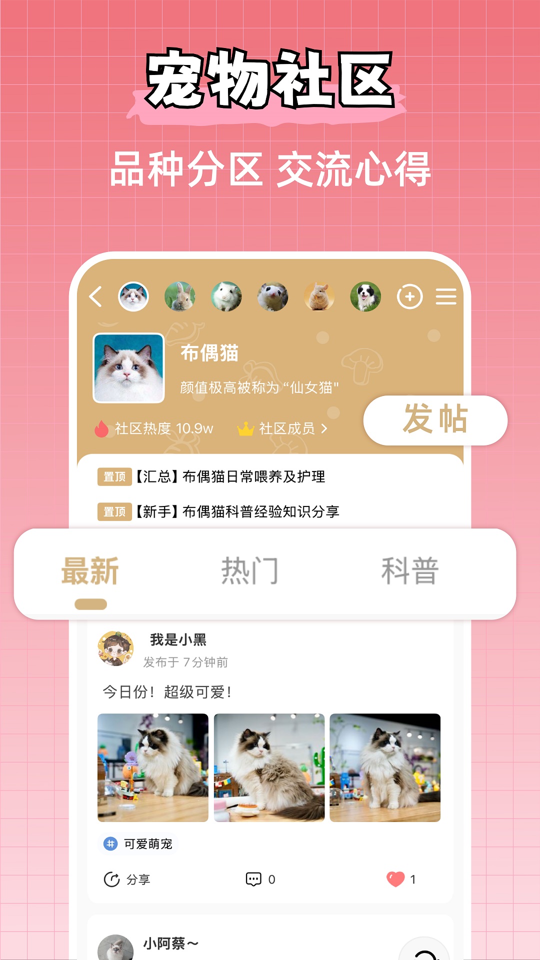 宠物王国电脑版截图