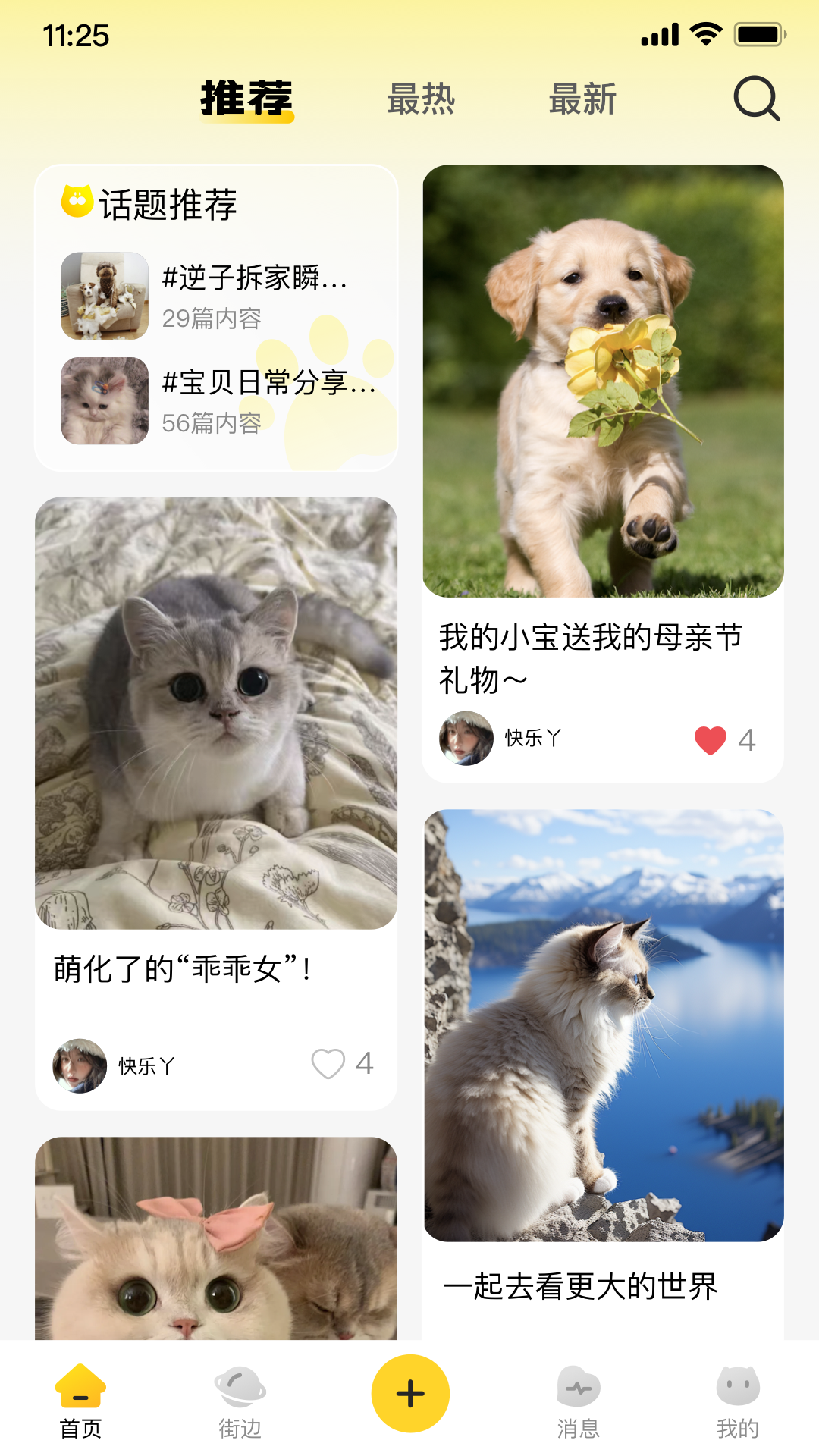 宠物街