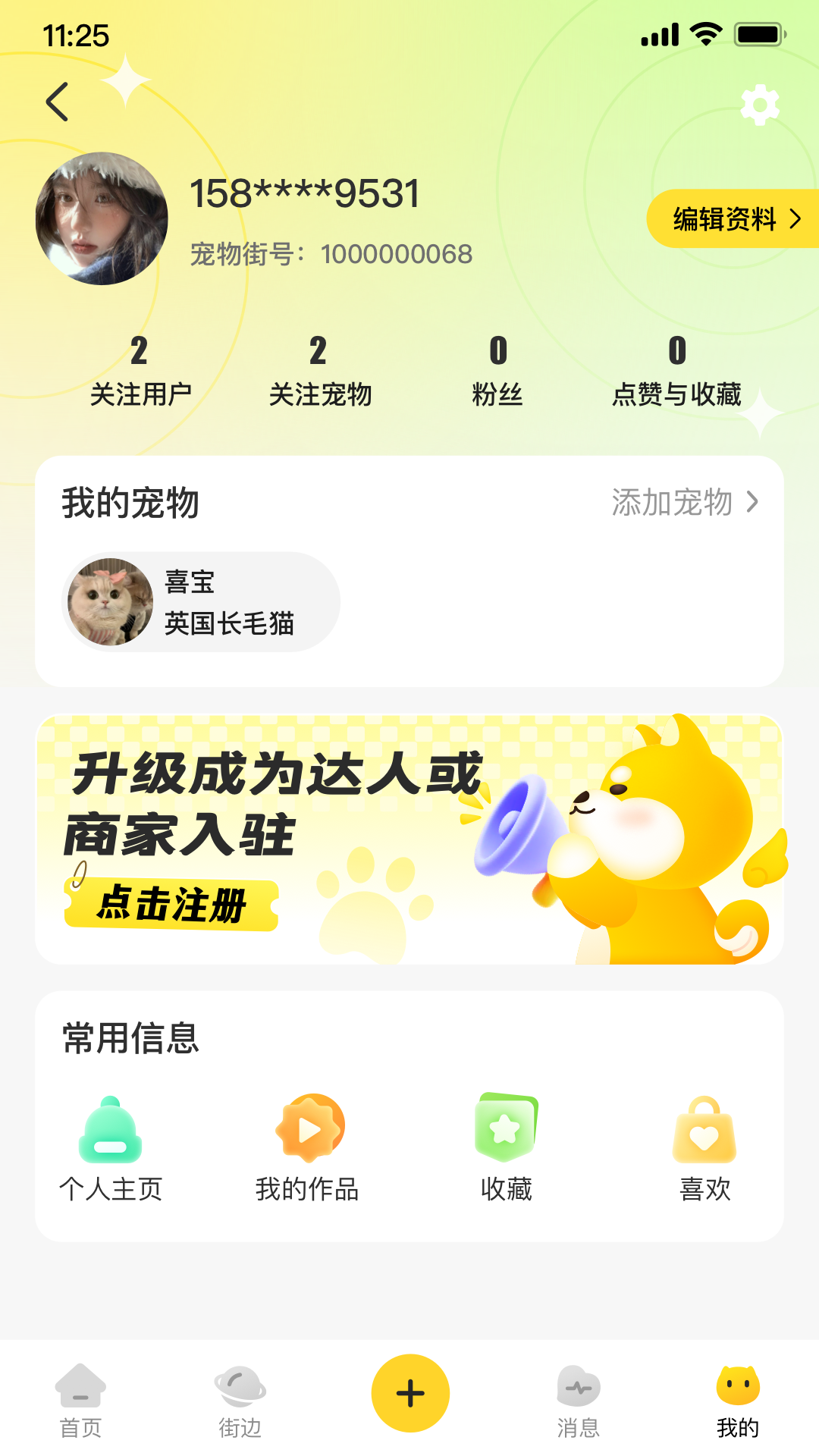 宠物街