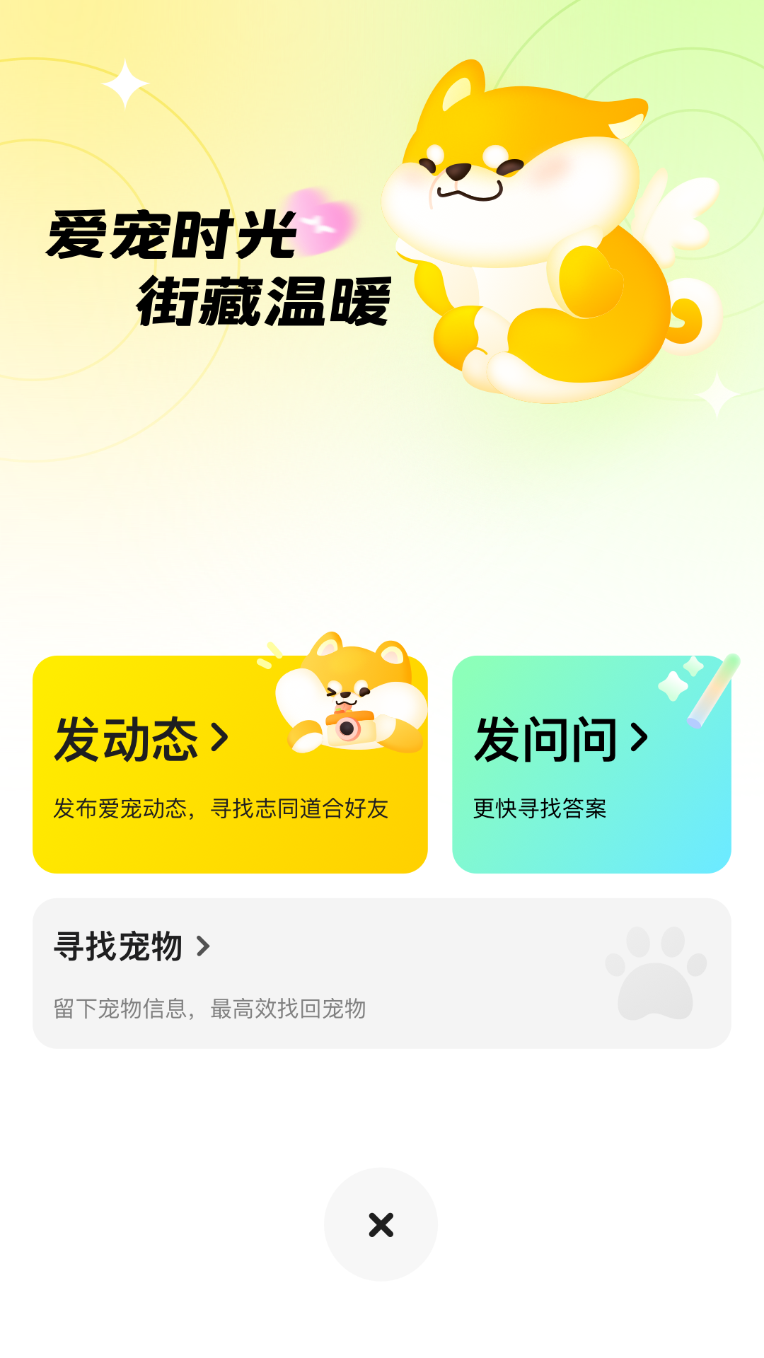 宠物街