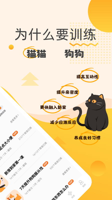 宠物记