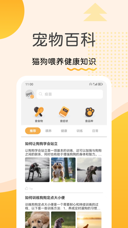 宠物记