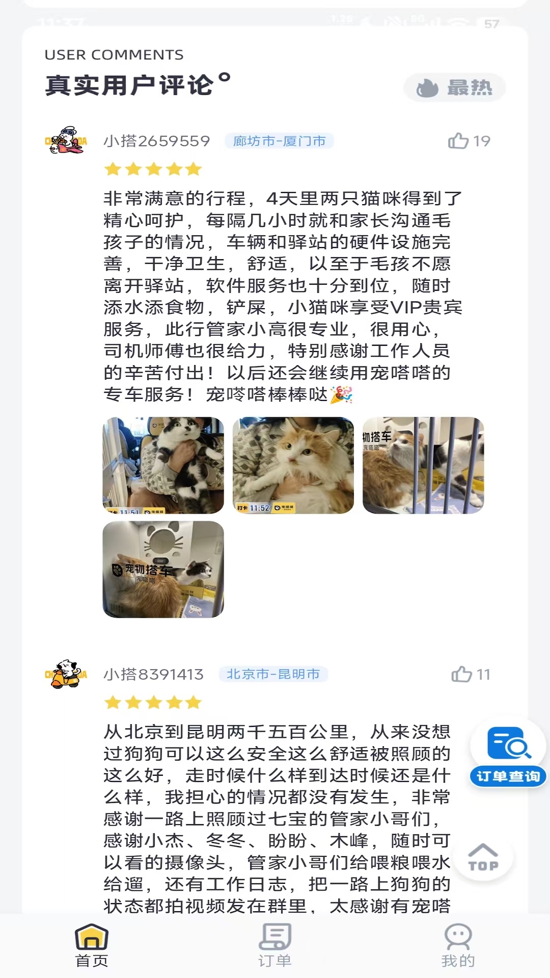 宠嗒嗒宠物搭车电脑版截图