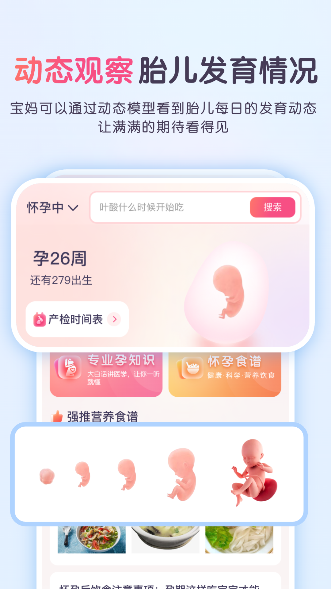 宝宝孕育佑儿宝典电脑版截图
