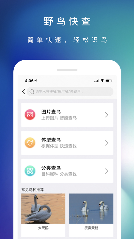 爱鸟