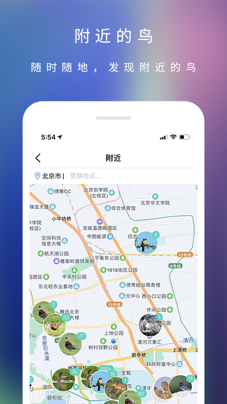 爱鸟