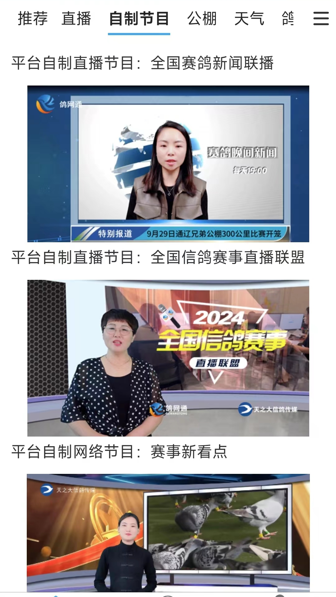 鸽网通电脑版截图