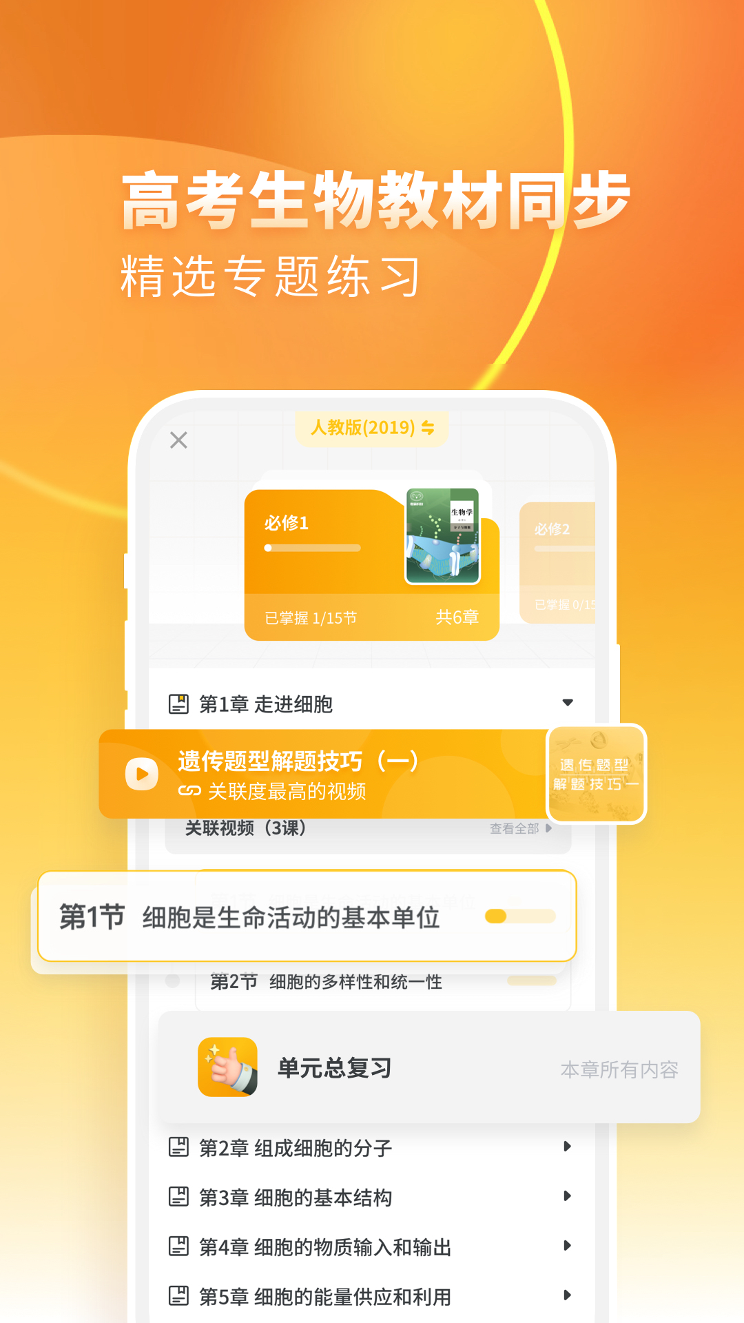 高中生物电脑版截图