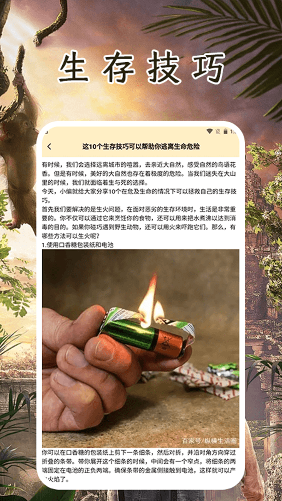荒野生存记电脑版截图