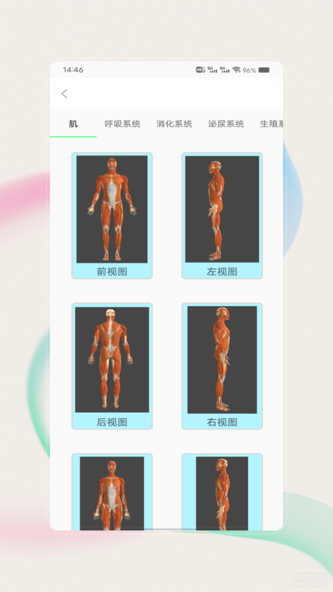 解剖图谱电脑版截图