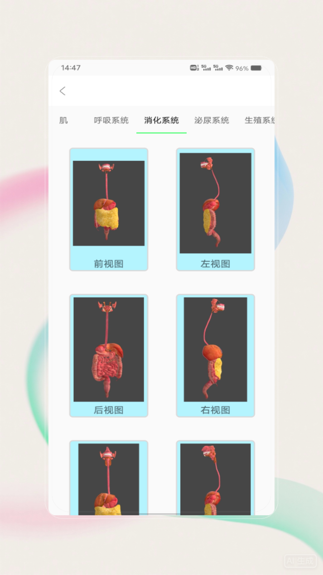 解剖图谱电脑版截图