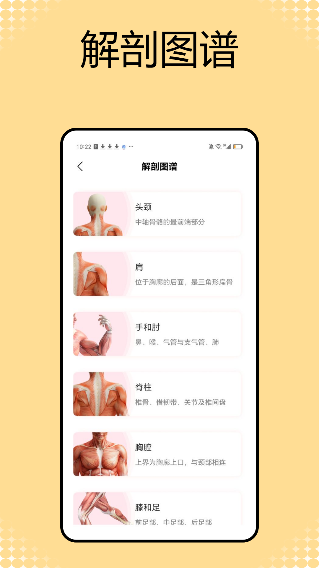 解剖和生理学电脑版截图
