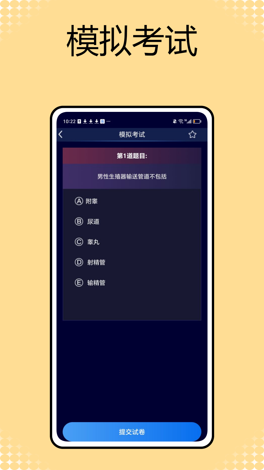 解剖和生理学电脑版截图