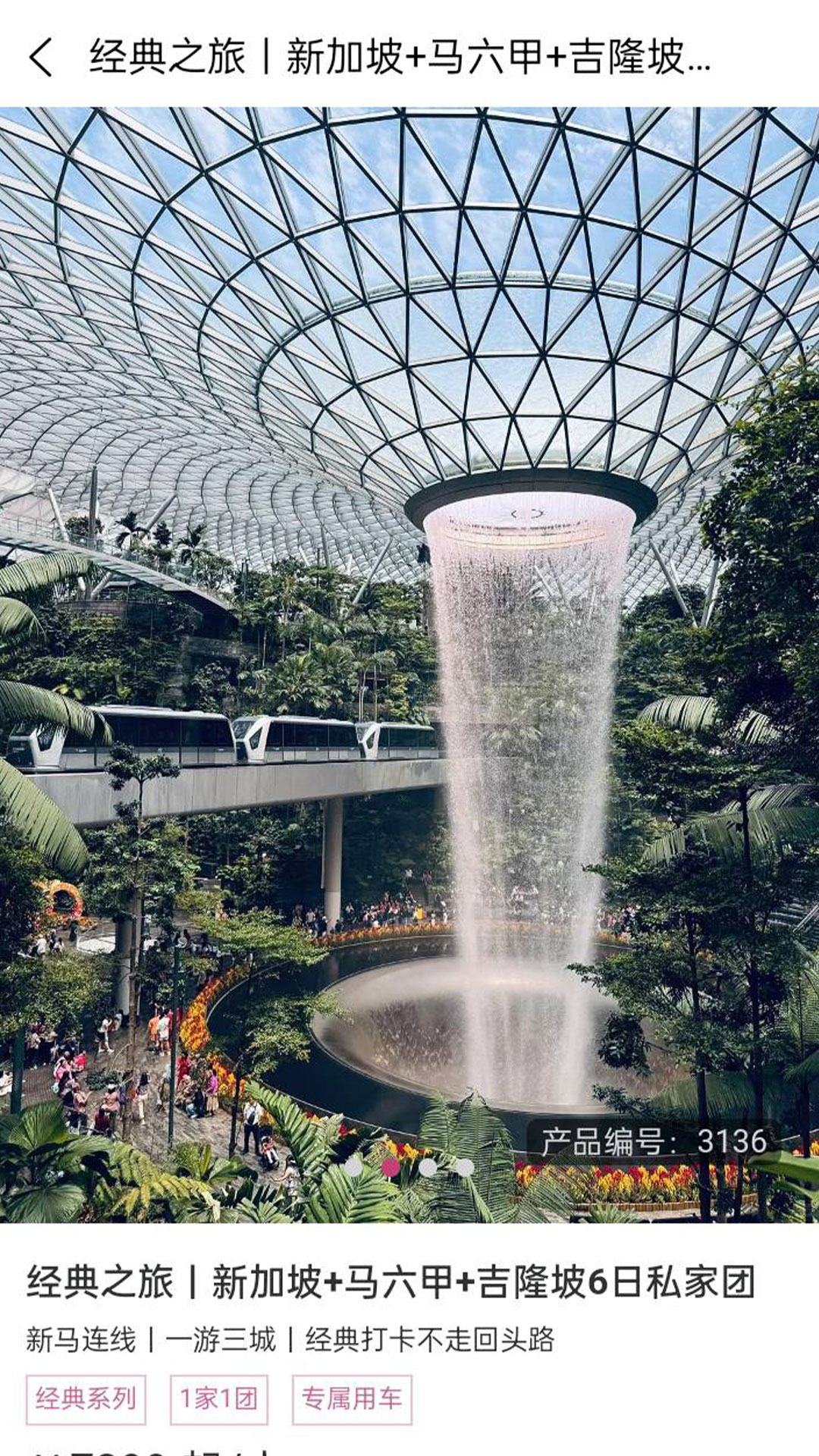 斑马旅游