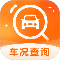 车况查询出险记录Car电脑版