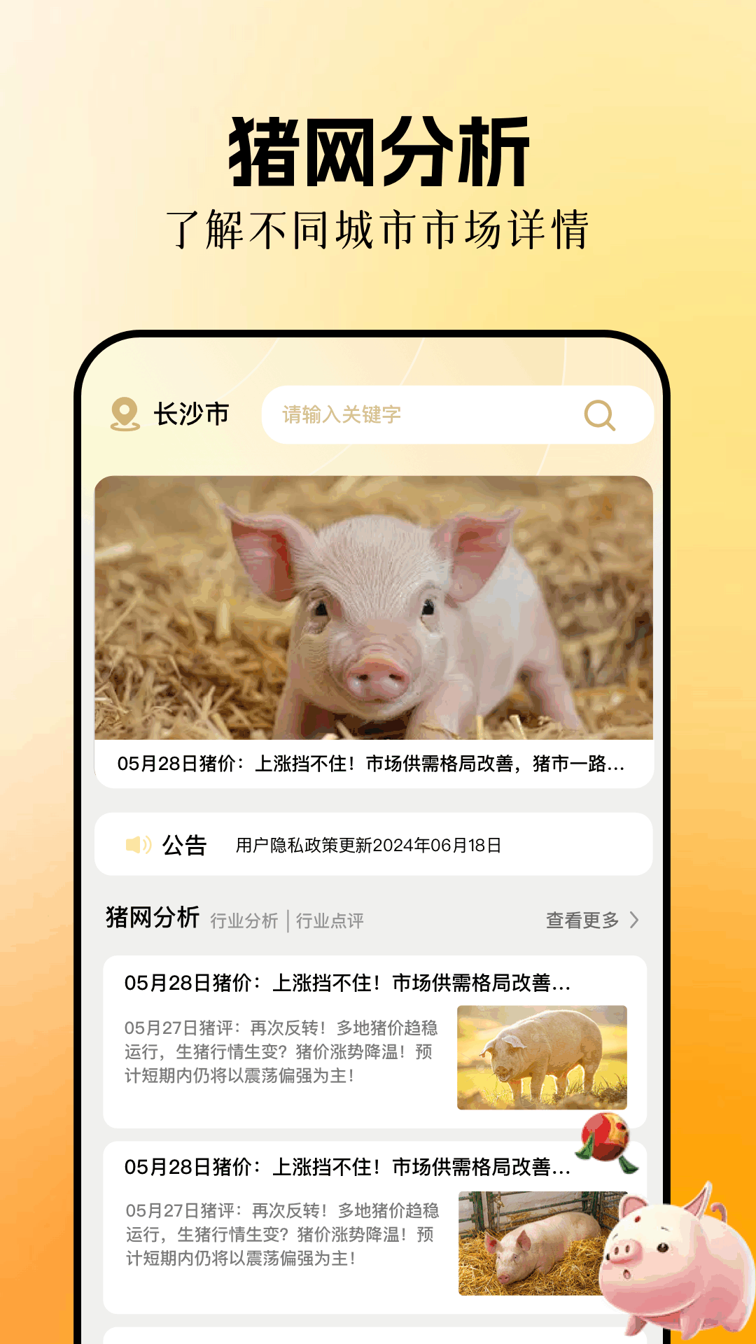 欢乐养猪场电脑版截图