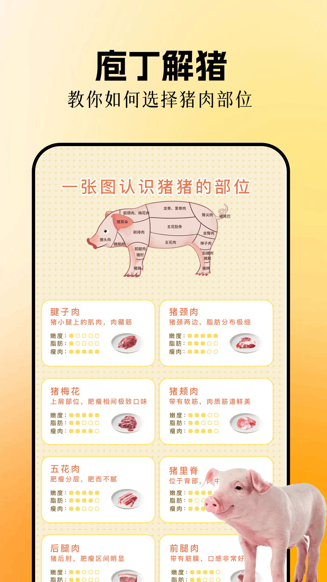 欢乐养猪场电脑版截图