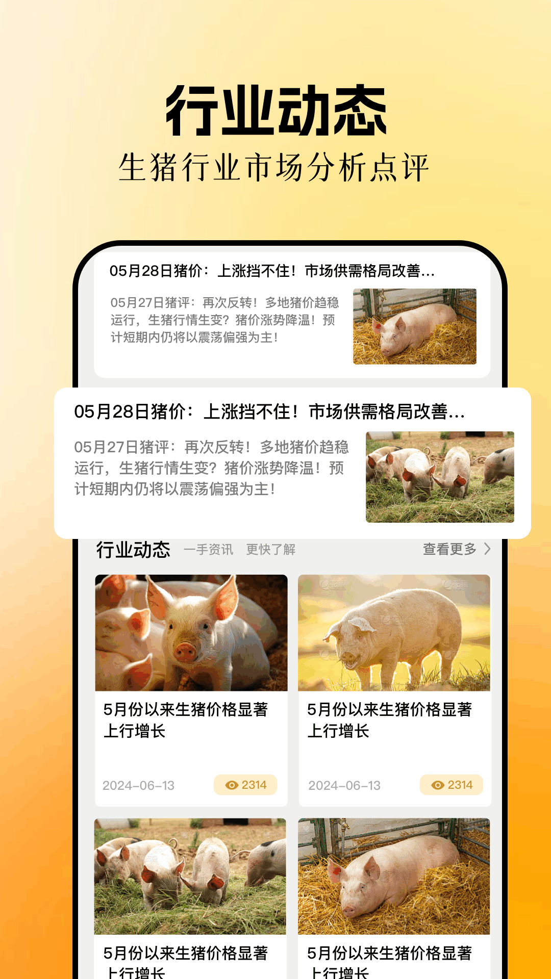 欢乐养猪场电脑版截图