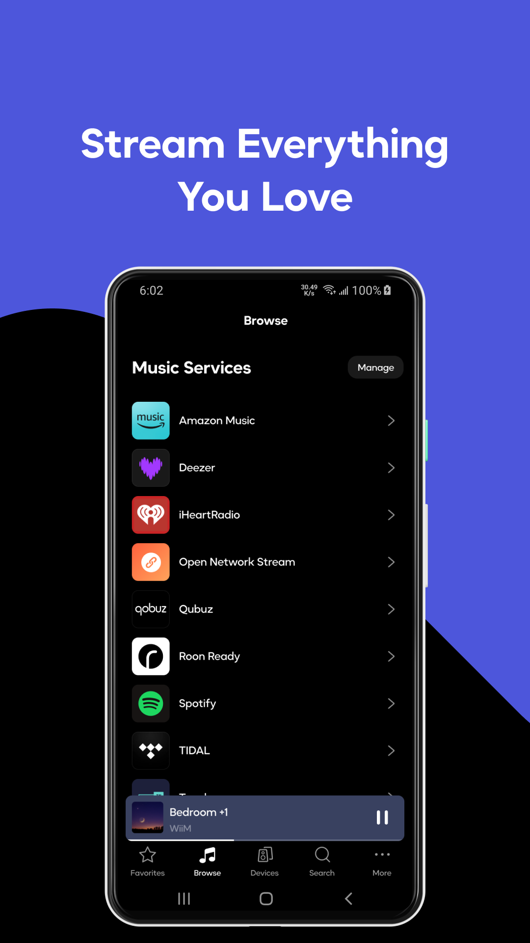 WiiM Home电脑版截图