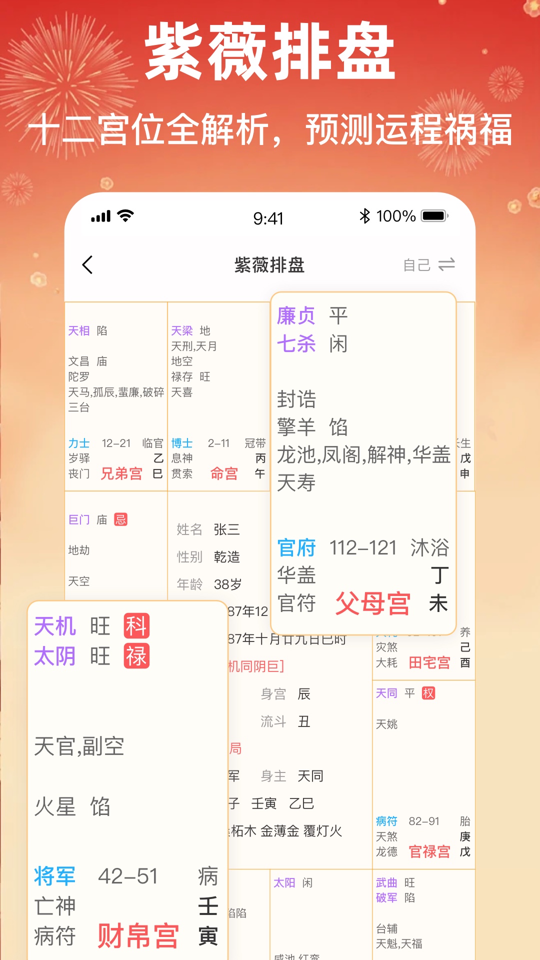 八字排盘助手电脑版截图