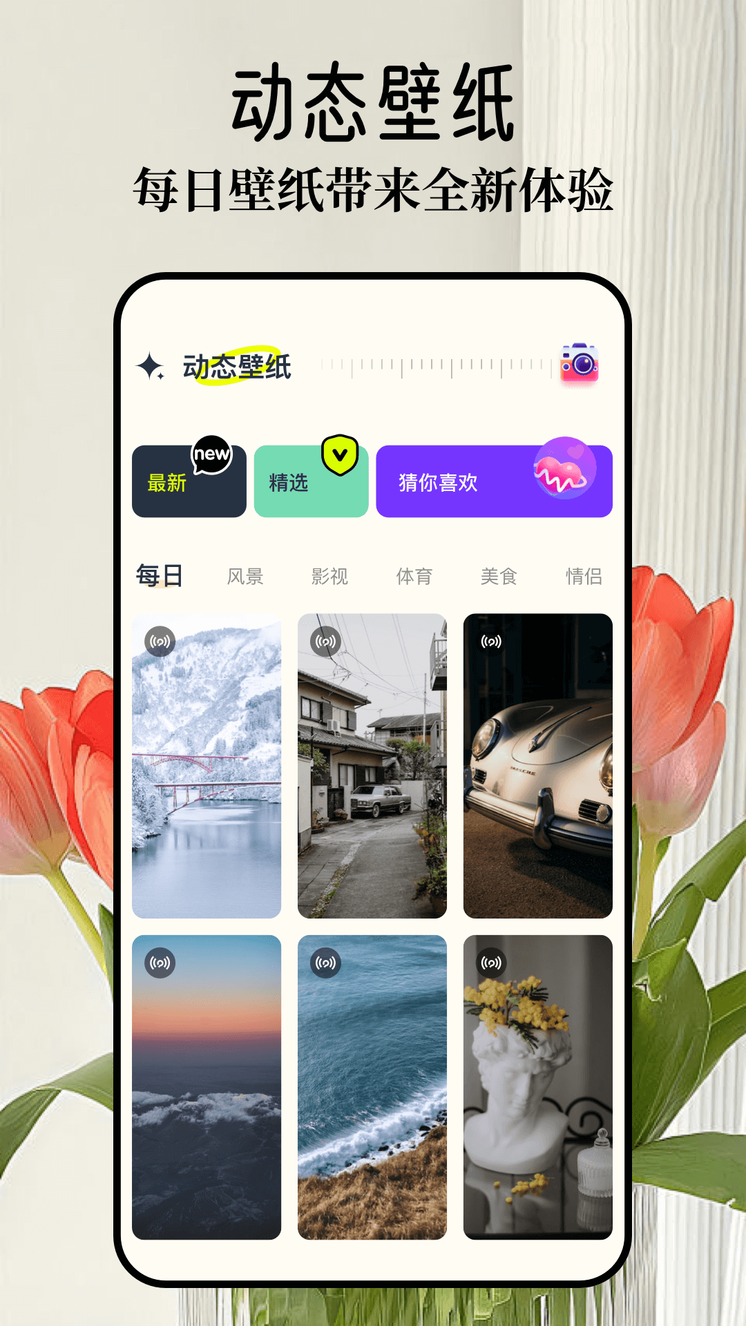 wallpaper主题壁纸电脑版截图