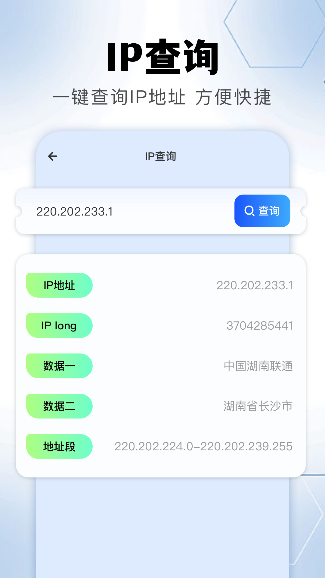 金砖弱网电脑版截图