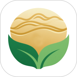 金玉满堂健康电脑版1.0.18