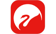 Swan Audio电脑版段首LOGO
