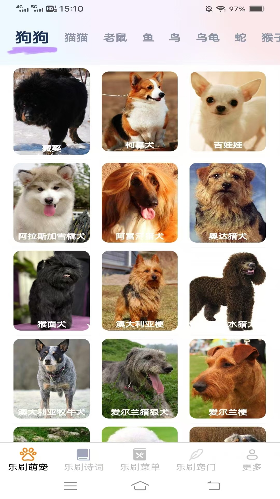 风云乐刷电脑版截图