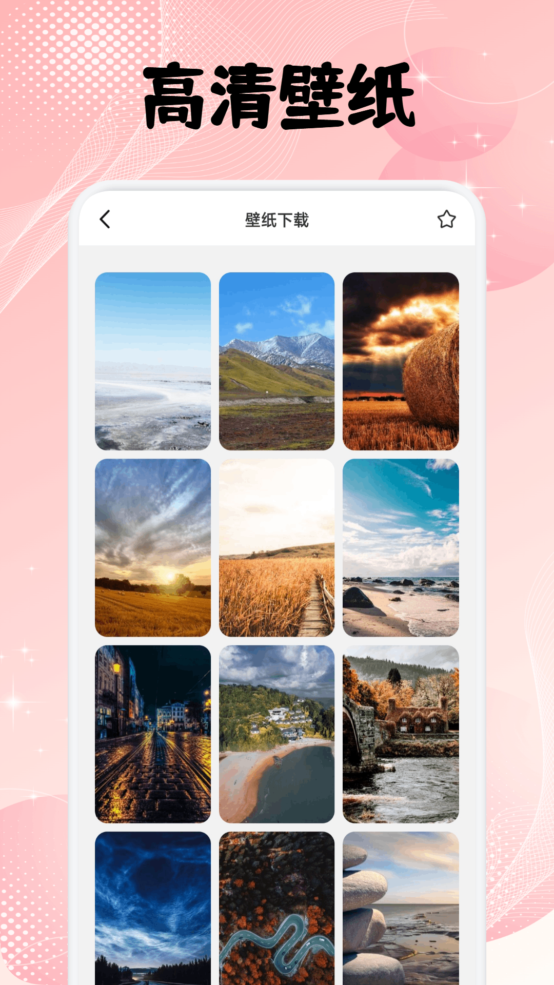 飞鸟下载器电脑版截图
