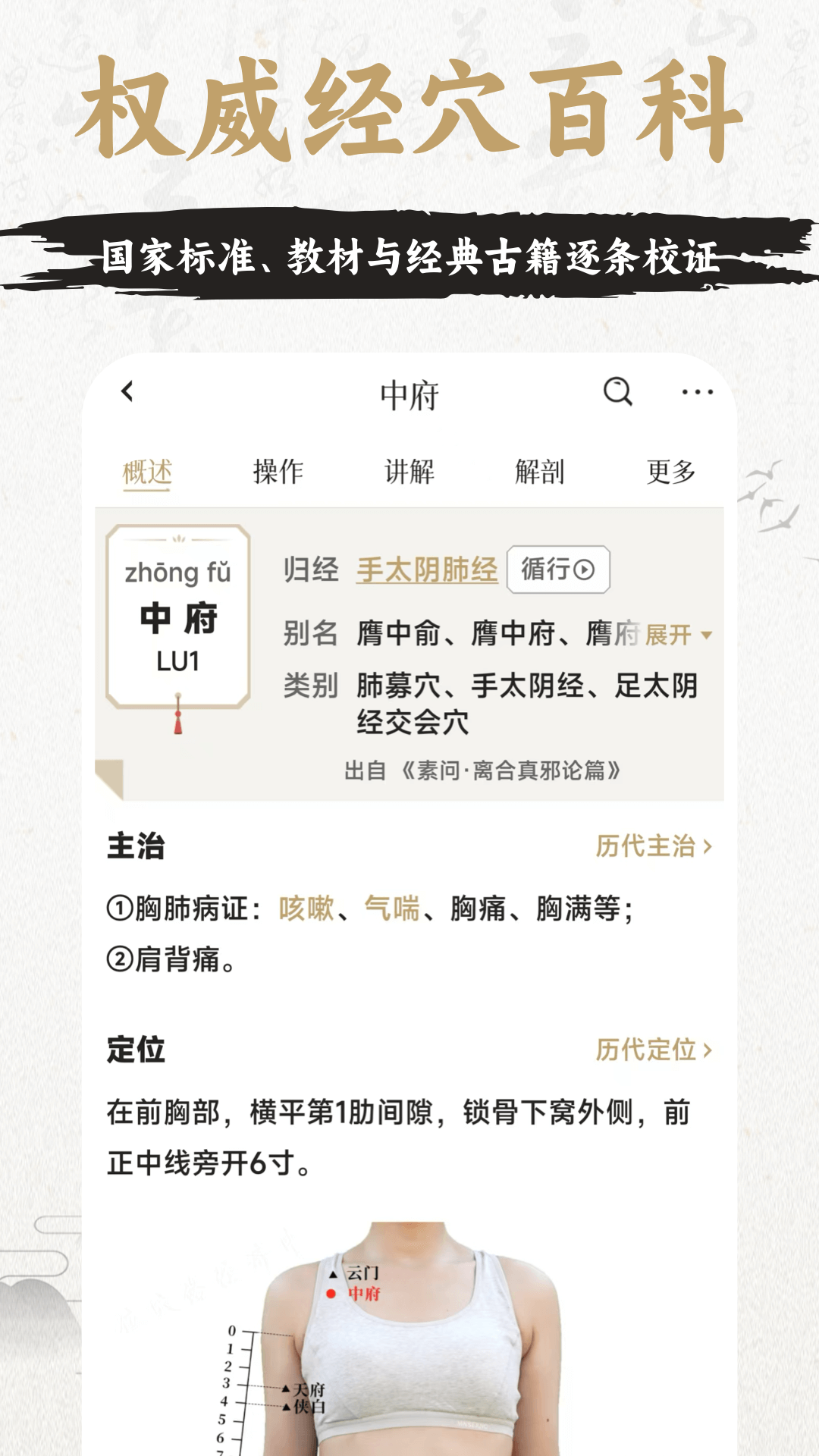 中济经络穴位