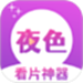 夜色免费看片