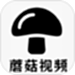 茄子视频