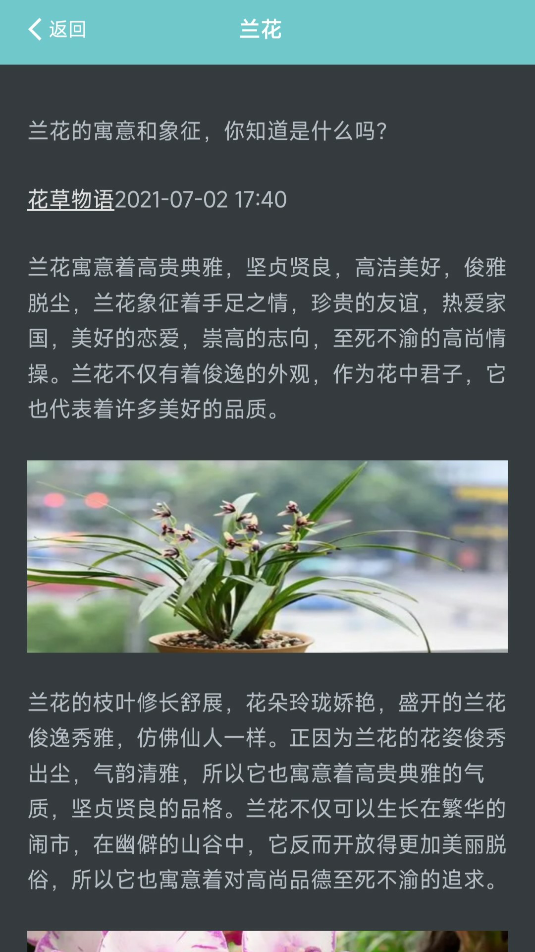 我的花店