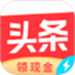 头条搜索极速版