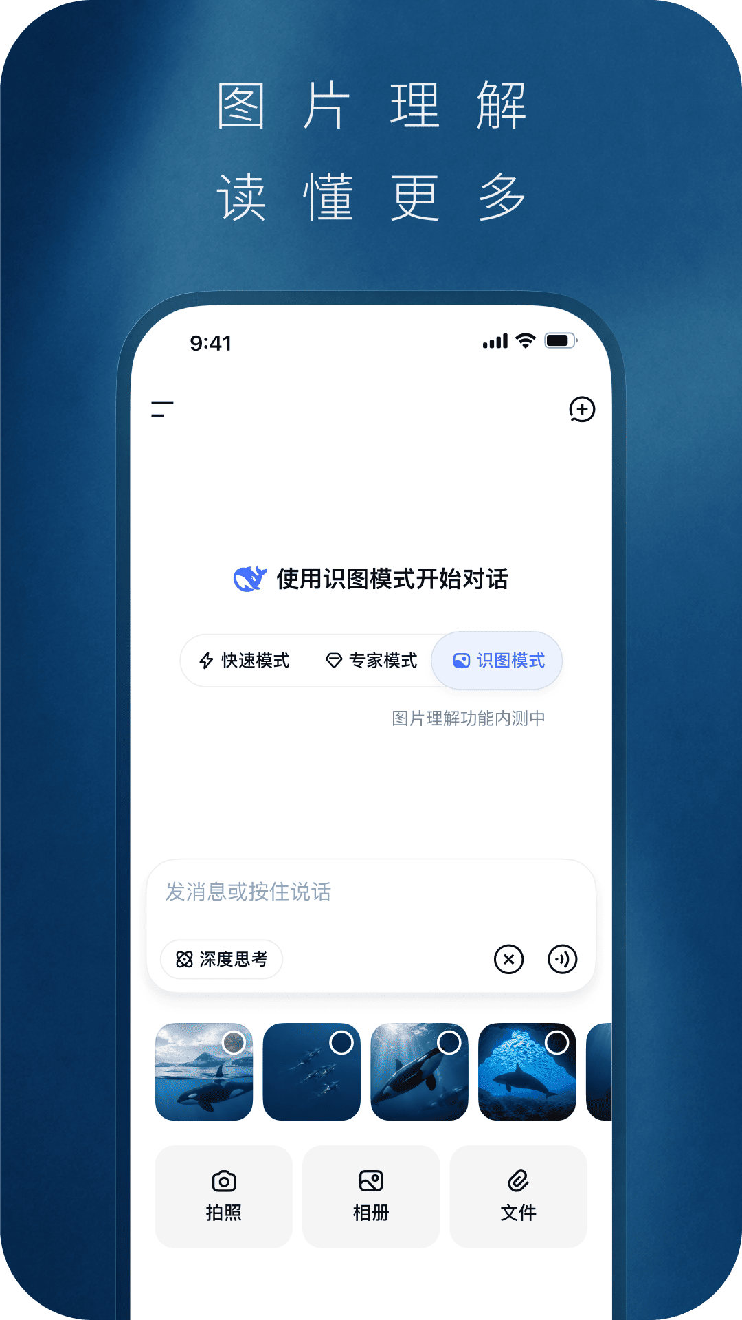DeepSeek