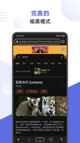 狐猴浏览器电脑版截图2