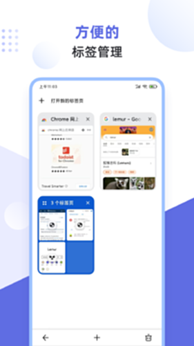 狐猴浏览器电脑版截图3
