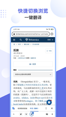 狐猴浏览器电脑版截图4