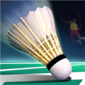 realbadminton段首LOGO